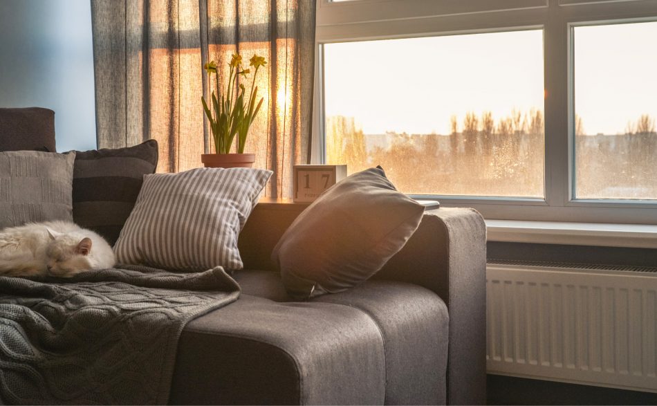 Kotek leży wygodnie na sofie. Kaloryfer jest niezasłonięty meblami ani zasłoną , więc dobrze grzeje pokój. Promienie słoneczne przyjemnie ogrzewają pomieszczenie dzięki niezasłoniętej firance.